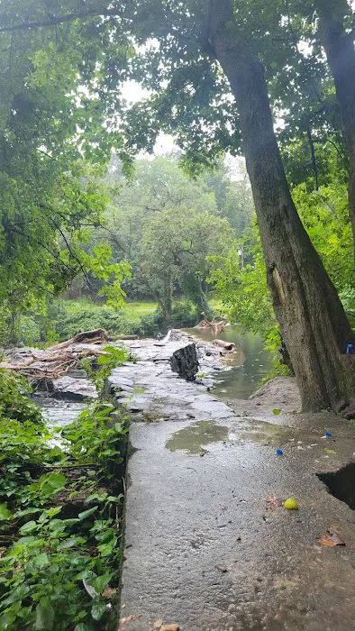 Kent Dog Park 1