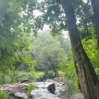Kent Dog Park ico
