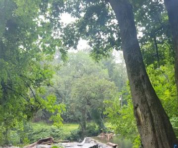 Kent Dog Park