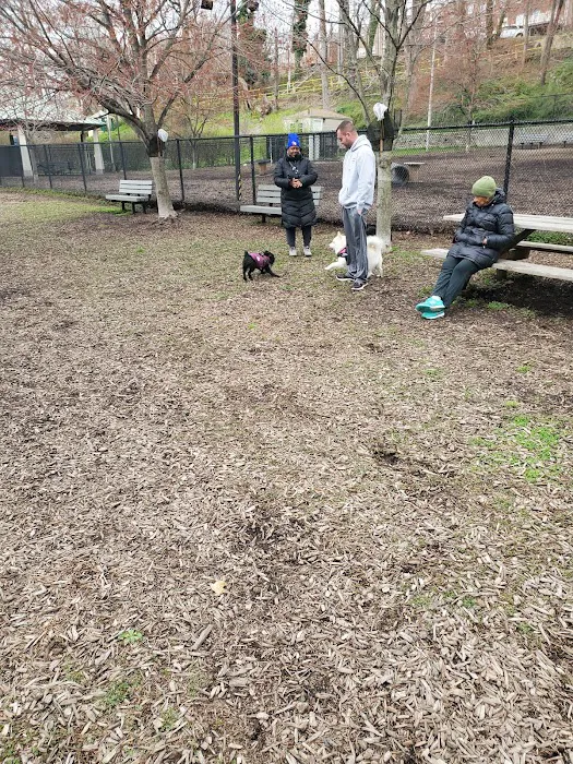 Kent Dog Park 5