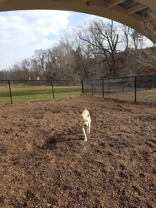 Kent Dog Park 6