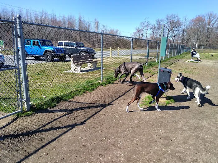 Gloucester County Dog Park 1