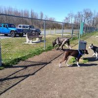 Gloucester County Dog Park ico