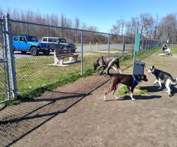 Gloucester County Dog Park