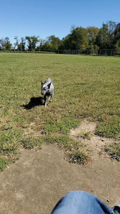 Gloucester County Dog Park 2