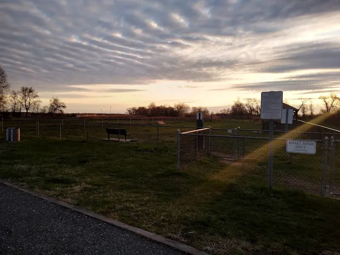 Gloucester County Dog Park 6