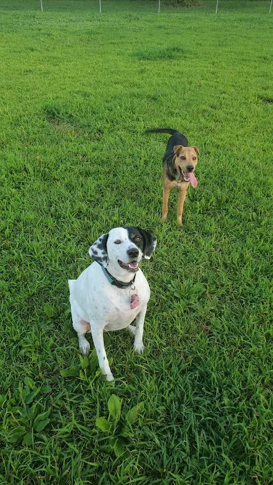 Gloucester County Dog Park 5