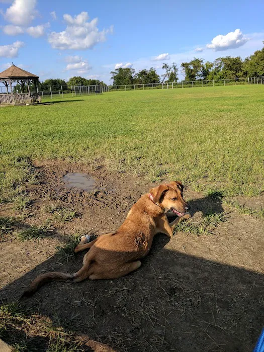 Gloucester County Dog Park 8