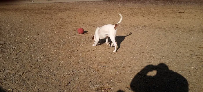 West Goshen Township Dog Park 2
