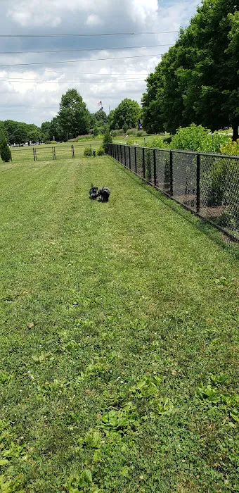 Concord Dog Park 3