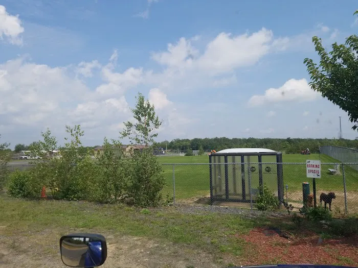 Bailey's Bark Park - Yearly Fee to Use 3
