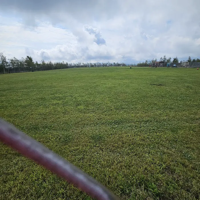 Bailey's Bark Park - Yearly Fee to Use 5