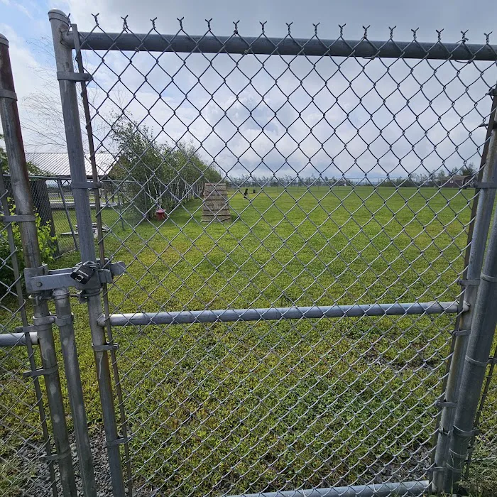 Bailey's Bark Park - Yearly Fee to Use 10