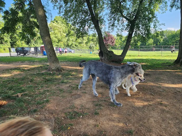 Jim Dietrich Dog Park 4
