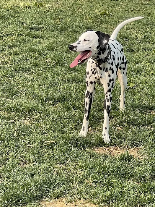 Jim Dietrich Dog Park 6