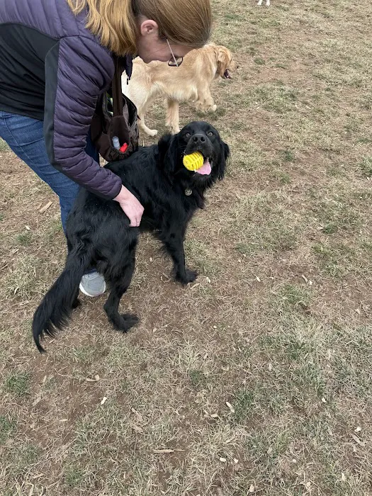 Jim Dietrich Dog Park 8