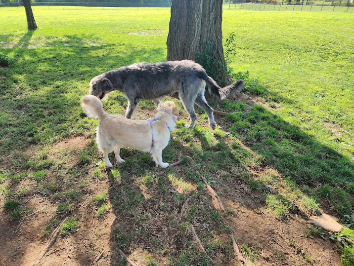 Jim Dietrich Dog Park 10
