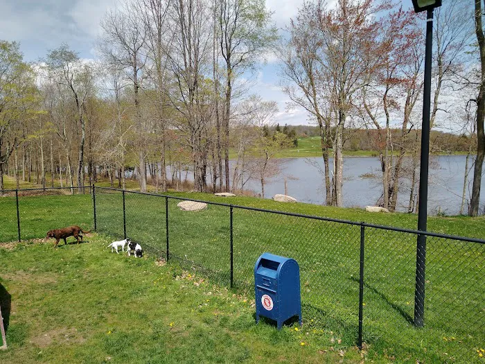 Morningside Dog park 1