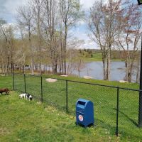 Morningside Dog park ico