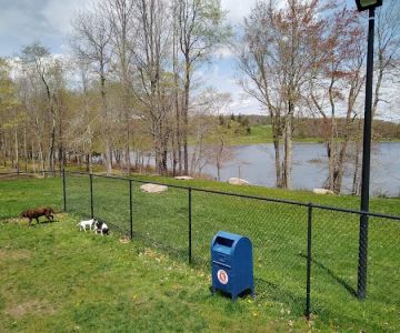 Morningside Dog park