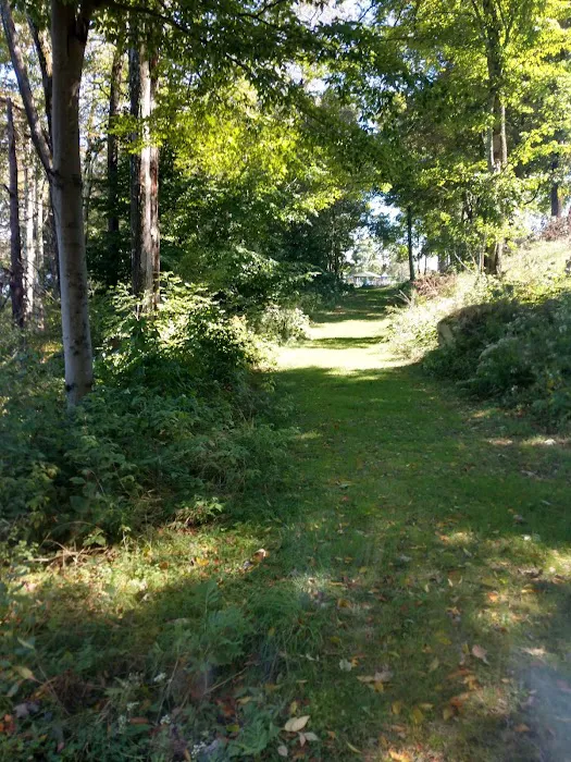 Morningside Dog park 6