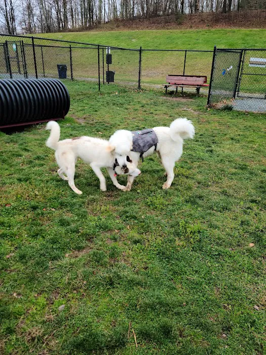 Morningside Dog park 5