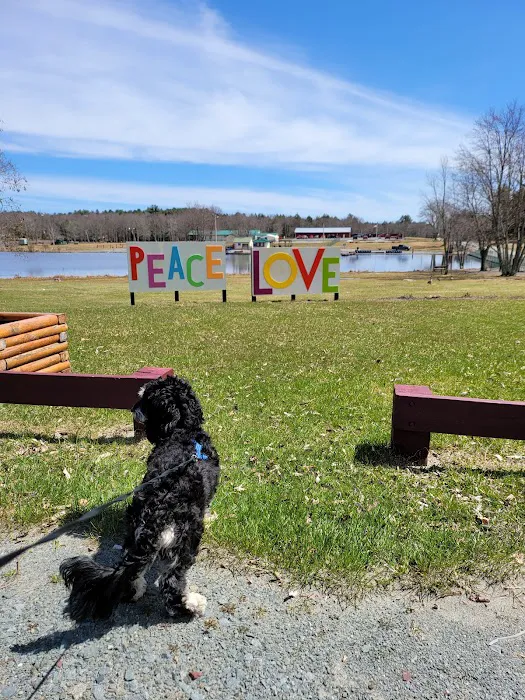 Morningside Dog park 7