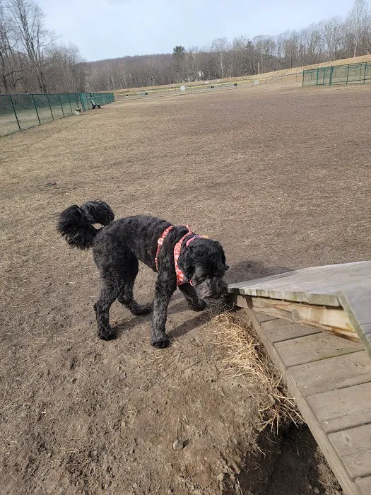Riverside Dog Park 7