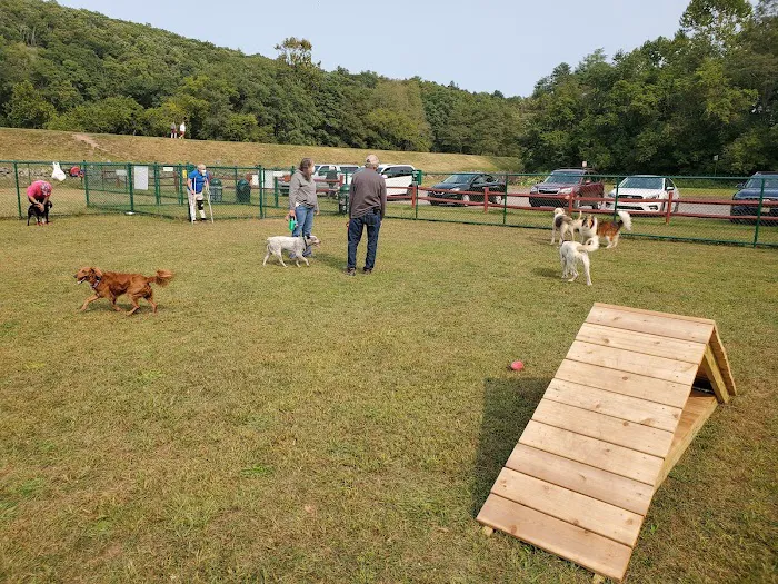 Riverside Dog Park 8