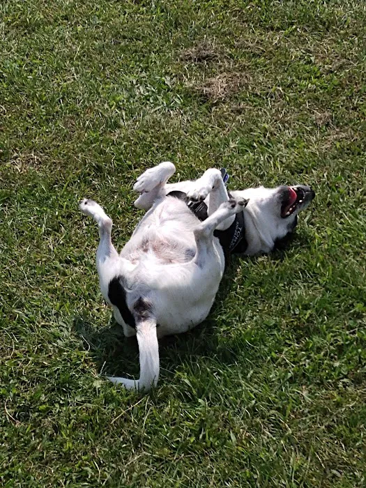 Riverside Dog Park 4