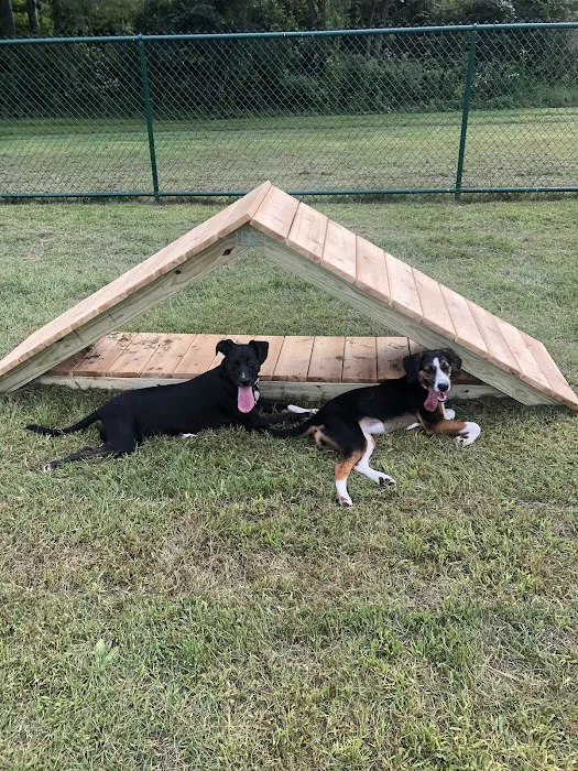 Riverside Dog Park 10