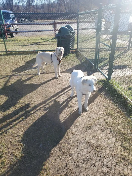 Riverside Dog Park 9