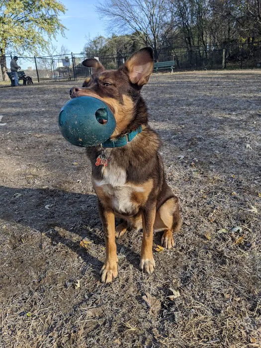 Kingston Point Dog Park 3