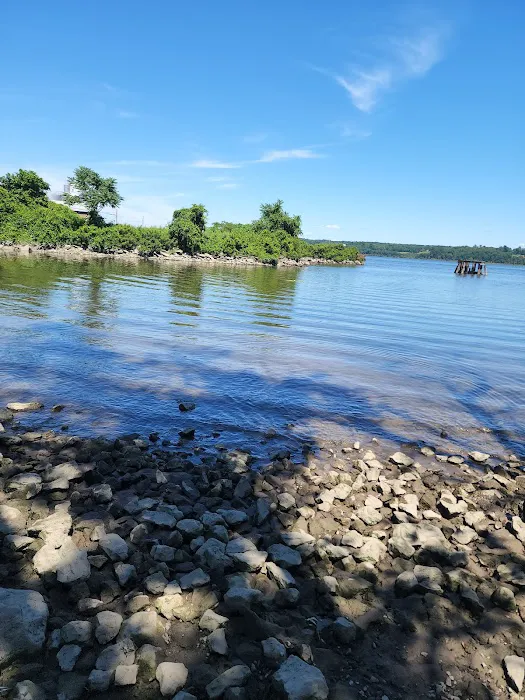 Kingston Point Dog Park 2