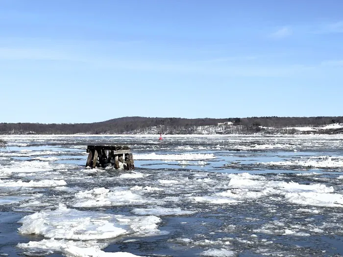 Kingston Point Dog Park 5