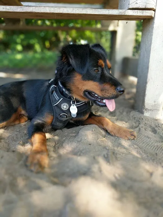 Kingston Point Dog Park 6