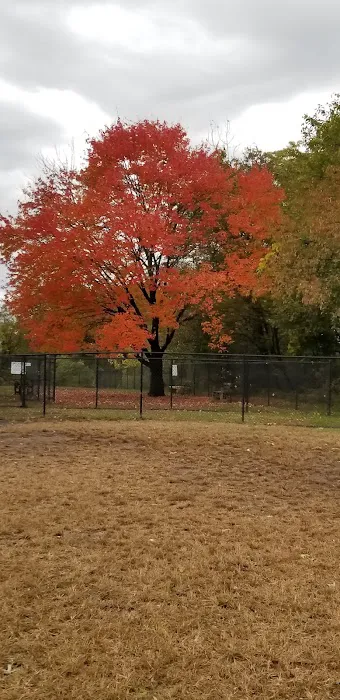 Kingston Point Dog Park 10