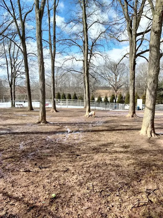 Cromwell Dog Park 2