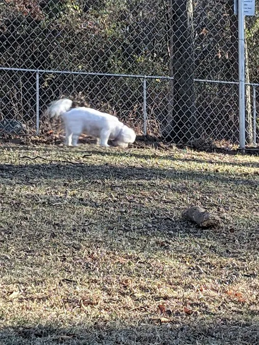 Cromwell Dog Park 1