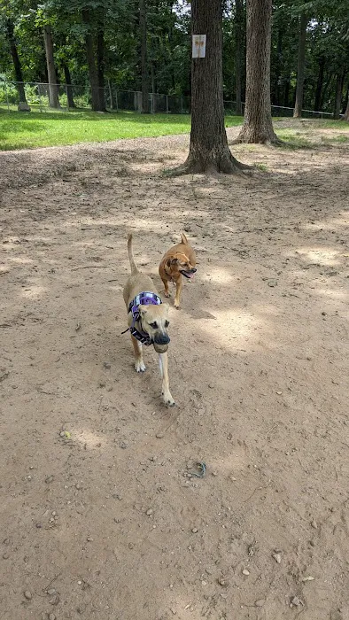 Cromwell Dog Park 3