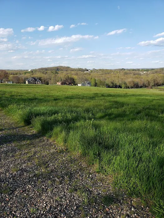 Cromwell Dog Park 4