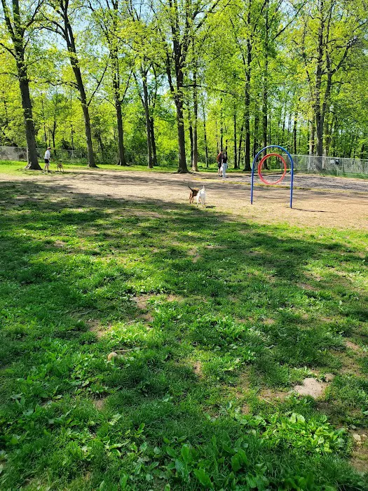 Cromwell Dog Park 5