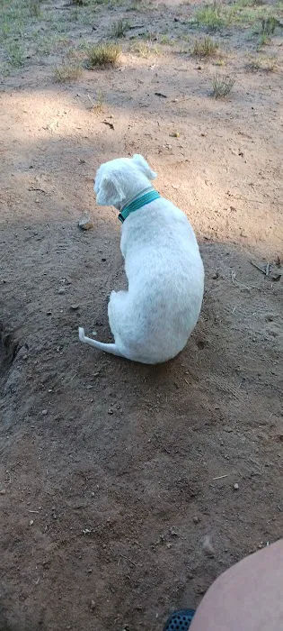 Cromwell Dog Park 10