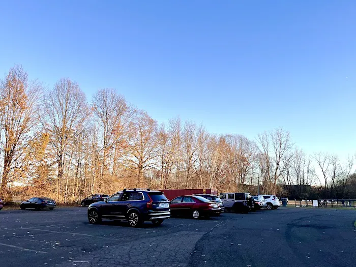 West Hartford Dog Park 4