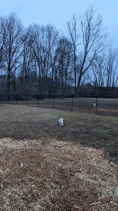 West Hartford Dog Park 3