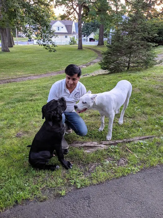 West Hartford Dog Park 2