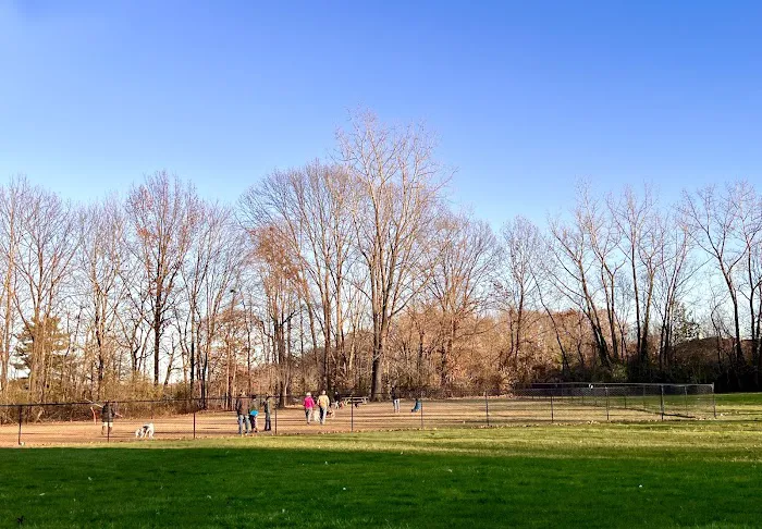 West Hartford Dog Park 1