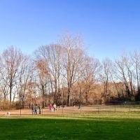 West Hartford Dog Park ico