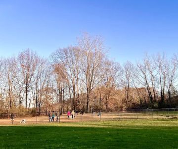 West Hartford Dog Park