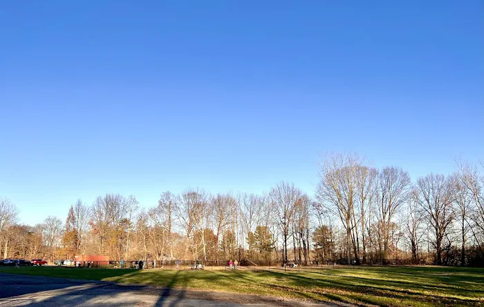 West Hartford Dog Park 7